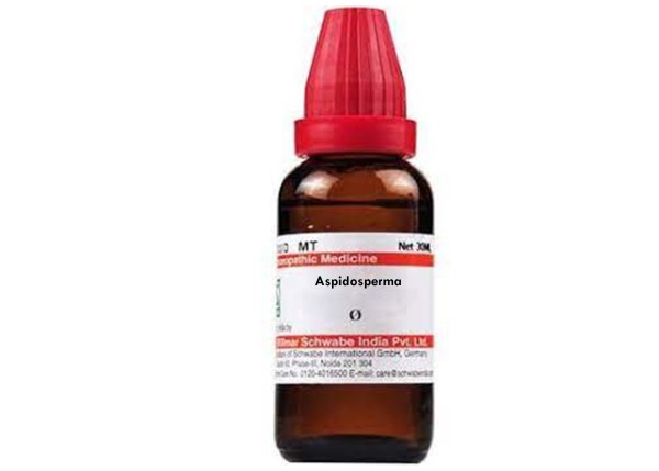 Aspidosperma