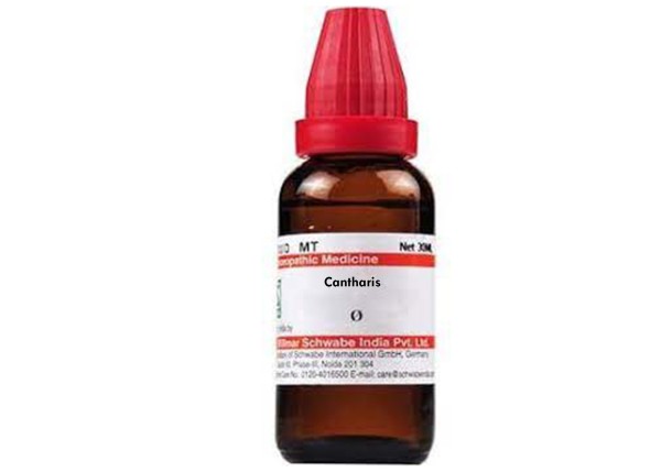 Cantharis