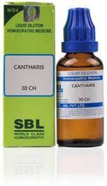 Cantharis