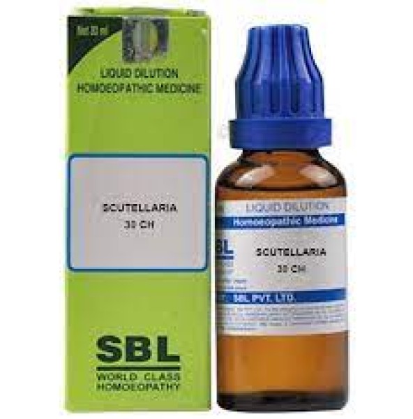 Scutellaria