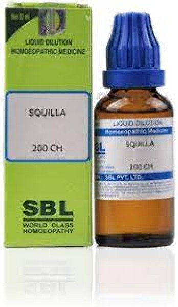 Squilla