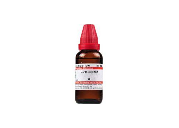 STAPHYLOCOCCINUM