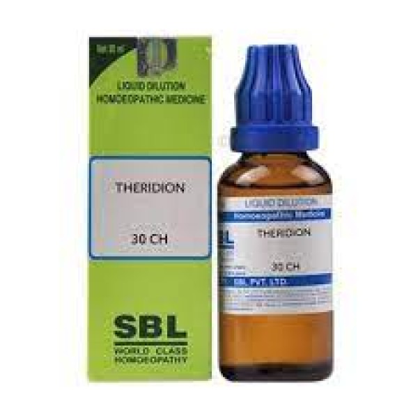 Theridion